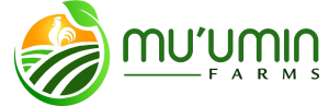Muumin logo